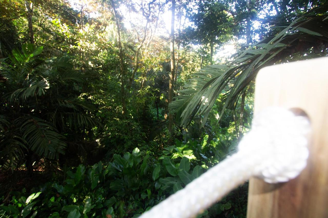 Big Bight Monkey Tiny House - Private Swimming Poolヴィラ エクステリア 写真